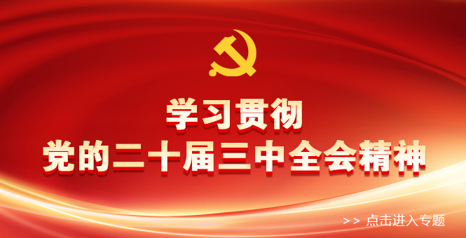 学习贯彻党的二十届三中全会精神